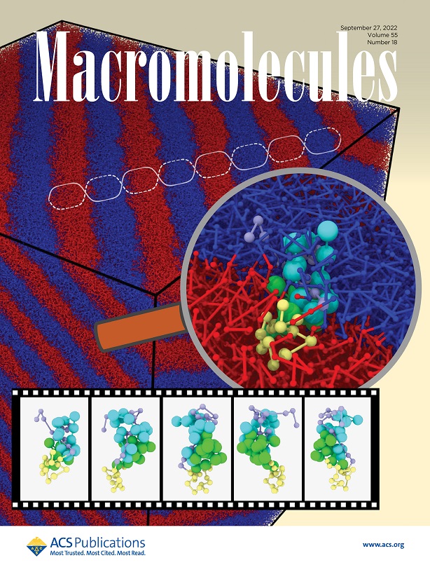 Hagita-Murashima-Kawakatsu-Macromolecules2022