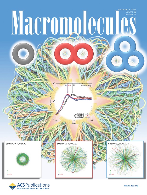 Murashima-Hagita-Kawakatsu-Macromolecules2022